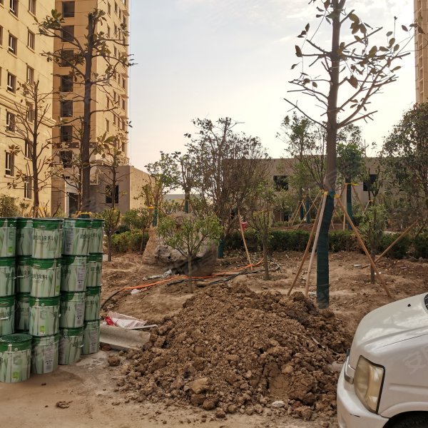 永泰龙泽园,长江路-菏泽永泰龙泽园二手房,租房,房价-菏泽安居客