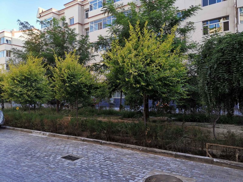 湖滨花园(灵武),中兴街-银川湖滨花园(灵武)二手房,租房,房价-银川