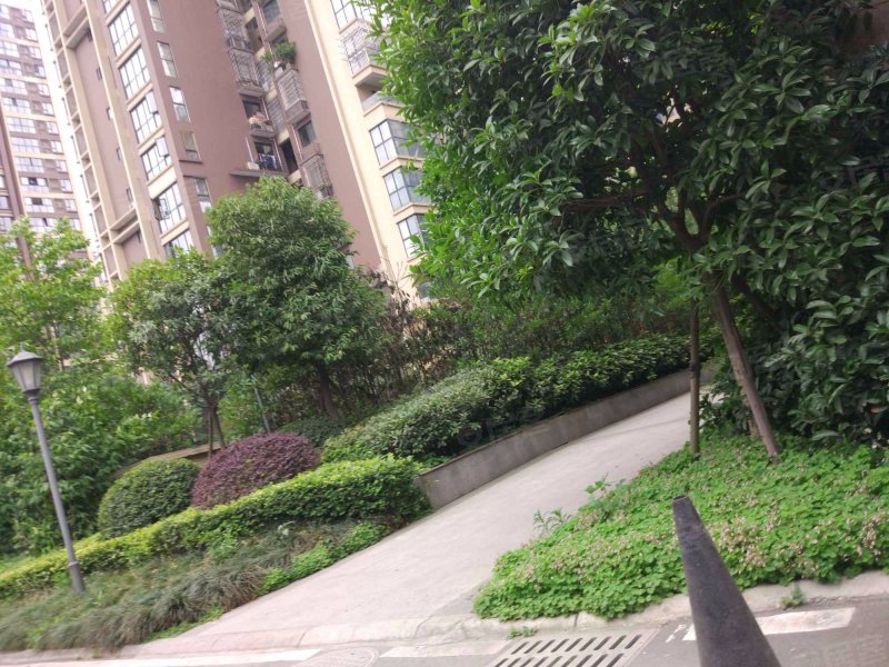 金沙柏林郡,清波路75号-成都金沙柏林郡二手房,租房,房价-成都安居客