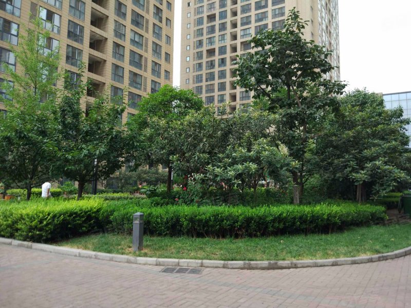 御溪望城,丰庆路39号-西安御溪望城二手房,租房,房价-西安安居客