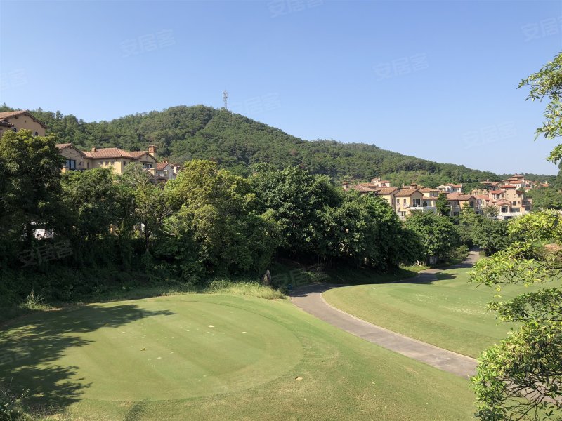 中信山语湖(别墅),美景大道-佛山中信山语湖(别墅)二手房,租房,房价