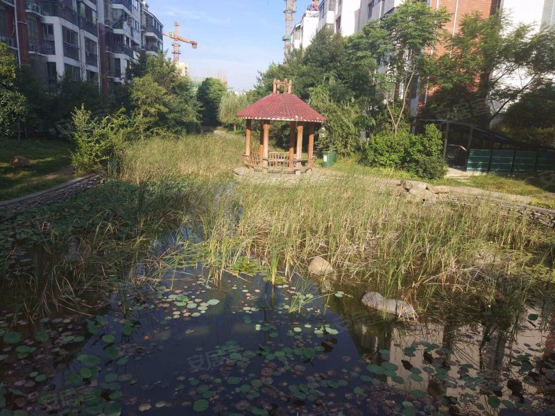 秀水花园,望江西路92号-合肥秀水花园二手房,租房,房价-合肥安居客