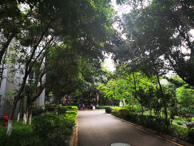 橄榄郡(渝北),银桦路183号-重庆橄榄郡(渝北)二手房,租房,房价-重庆