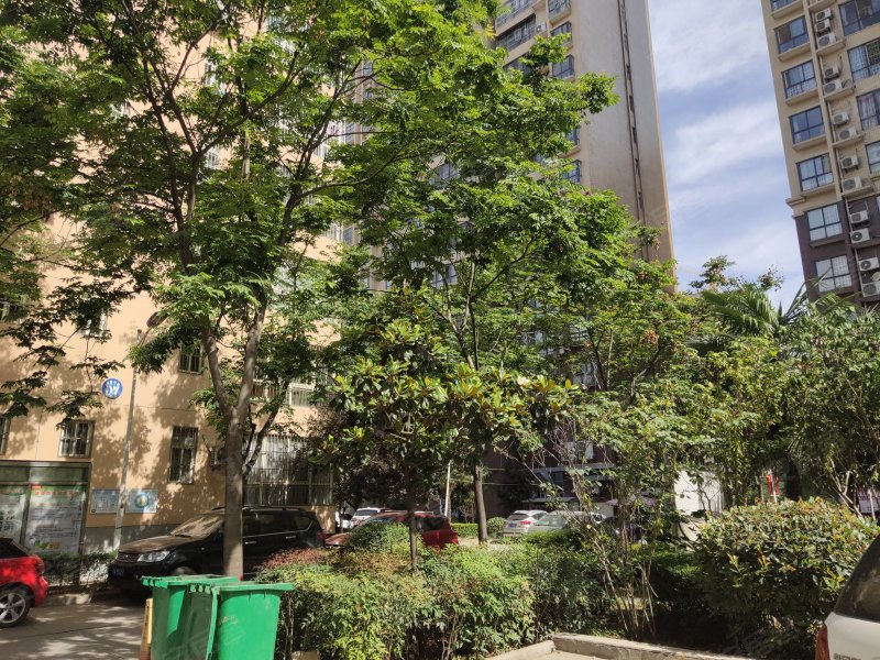 阳光小区(临渭),胜利大街-渭南阳光小区(临渭)二手房,租房,房价-渭南