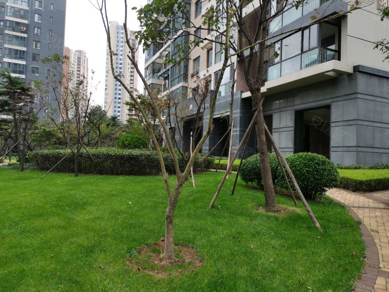 麦岛金岸,东海东路1号-青岛麦岛金岸二手房,租房,房价-青岛安居客