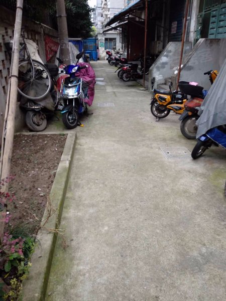 金桥路226弄小区 