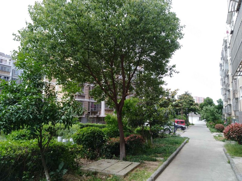 逸翠园,赵声路11号-镇江逸翠园二手房,租房,房价-镇江安居客