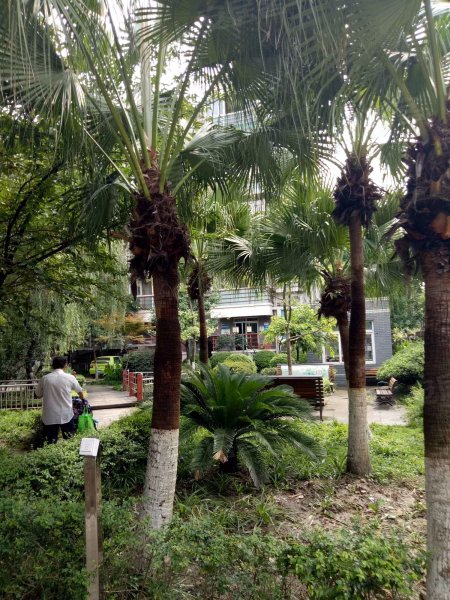 花半里,草金路南段265号-成都花半里二手房,租房,房价-成都安居客