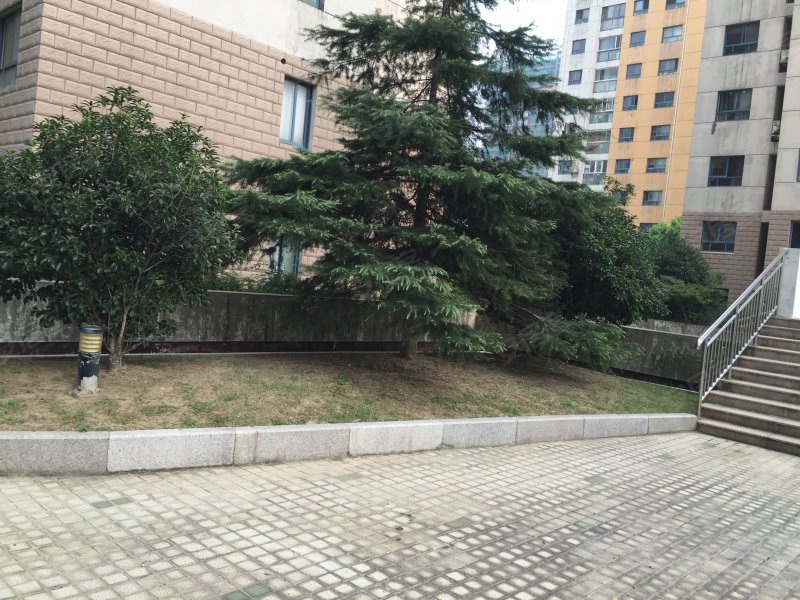 狮山丽舍,狮山路111号-苏州狮山丽舍二手房,租房,房价-苏州安居客