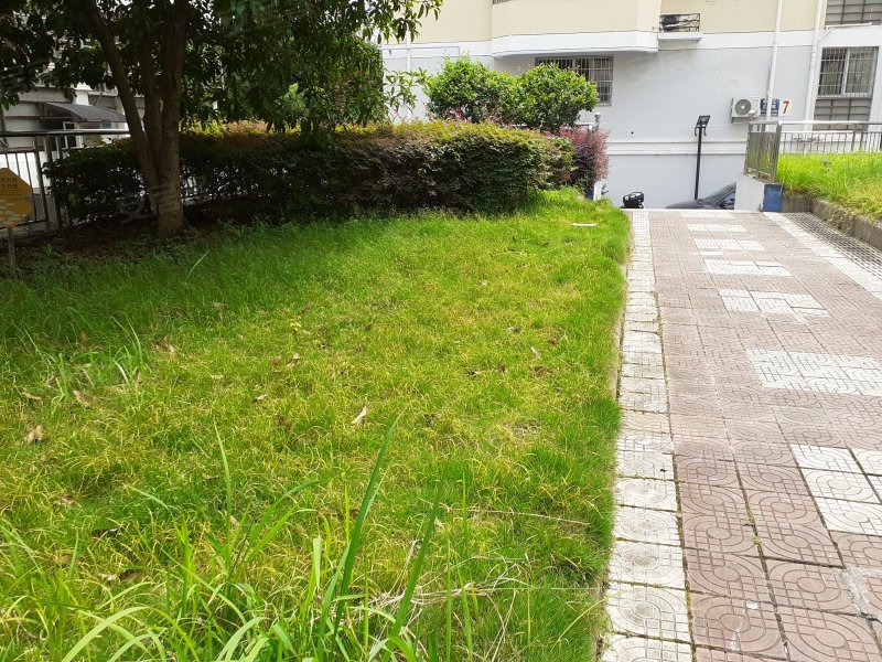 锦江花苑,四海北路108号-嵊州锦江花苑二手房,租房,房价-嵊州安居客