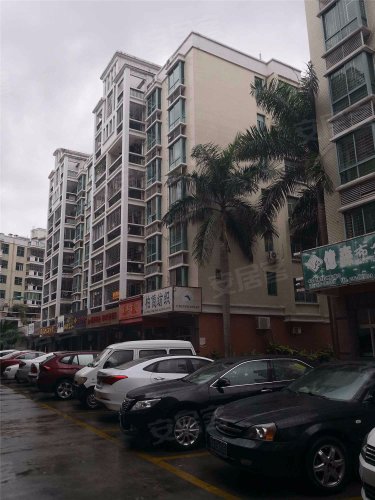 金汇花园二期,灵狮中路76号 - 石狮金汇花园二期二手房,租房,房价