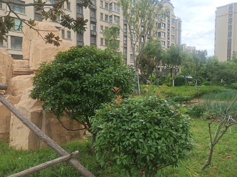 海博望江府,滨河东路,近厦门路-临沂海博望江府二手房,租房,房价-临沂