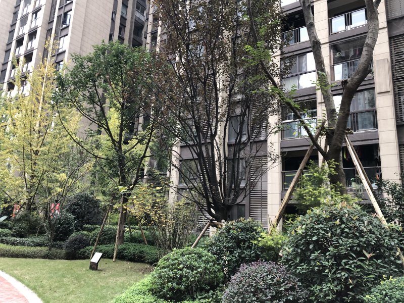 保利观塘泽园,二塘路79号-重庆保利观塘泽园二手房,租房,房价-重庆