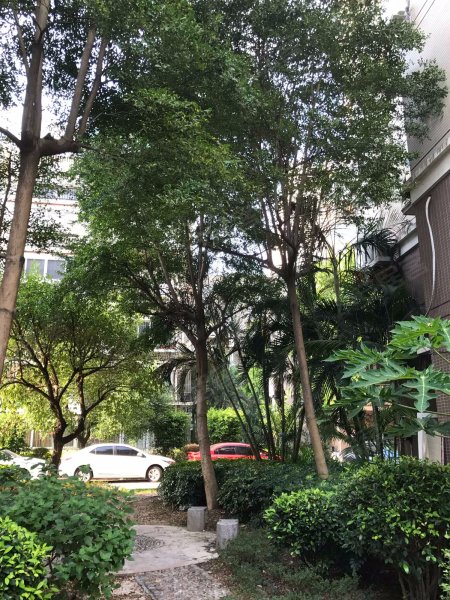 实华蓝湾雅境,远洋路392号-福州实华蓝湾雅境二手房,租房,房价-福州