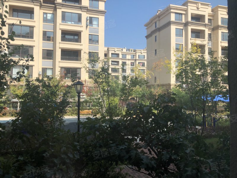 普罗旺斯