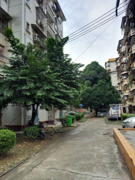 明秀小区,明秀东路145号-南宁明秀小区二手房,租房,房价-南宁安居客