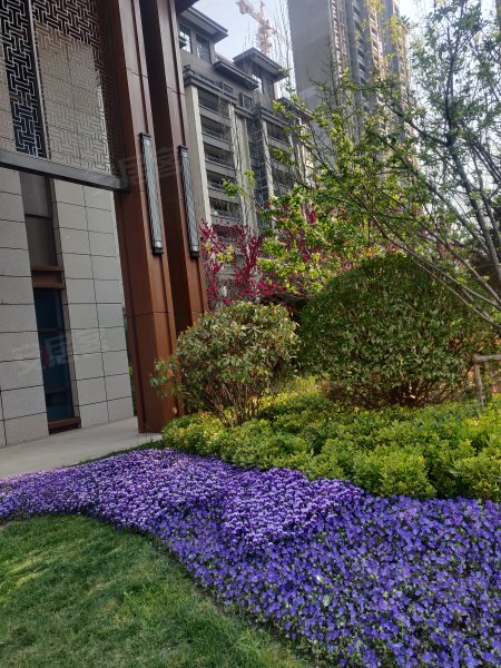 高新幸福城,东风大街崇业路,近西兴街-渭南高新幸福城二手房,租房