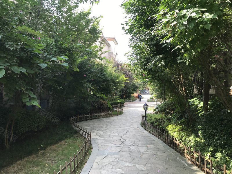 中天托斯卡纳24组团