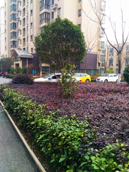 康居新城(东苑)