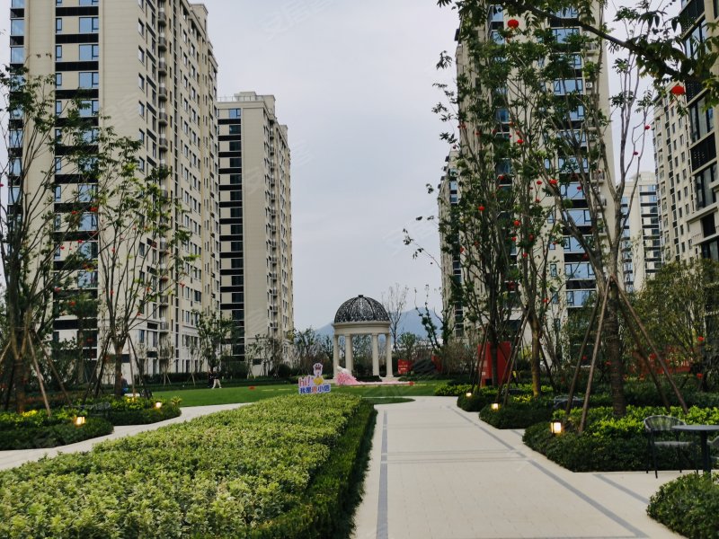 德信碧桂园观澜苑,滨海六路,近金海大道-温州德信碧桂园观澜苑二手房