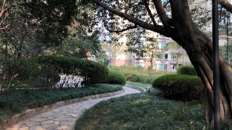 龙湖花园,新南路6号-重庆龙湖花园二手房,租房,房价-重庆安居客