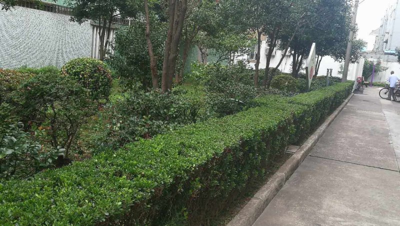 人民街78弄小区 