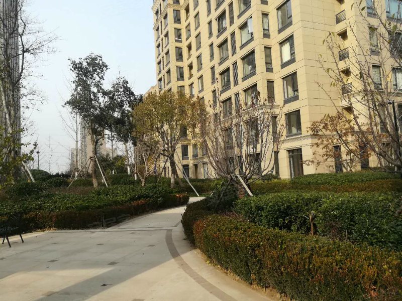 德州绿城百合花园