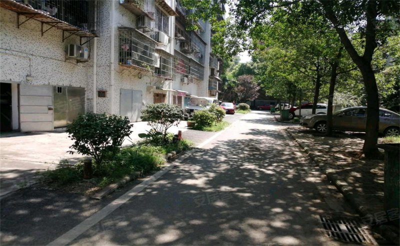 天鹅花园,红港路4号-株洲天鹅花园二手房,租房,房价-株洲安居客