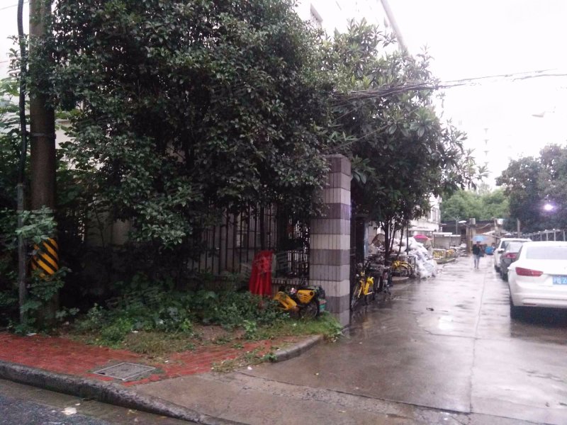 浦东南路3649弄小区 