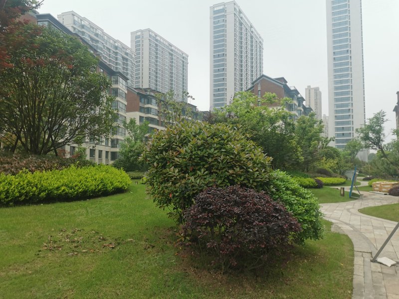置地皖江四季,皖江大道,近顺安路-安庆置地皖江四季二手房,租房,房价