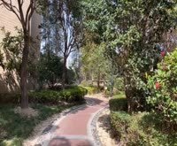 日月光伯爵天地鼎固君庭