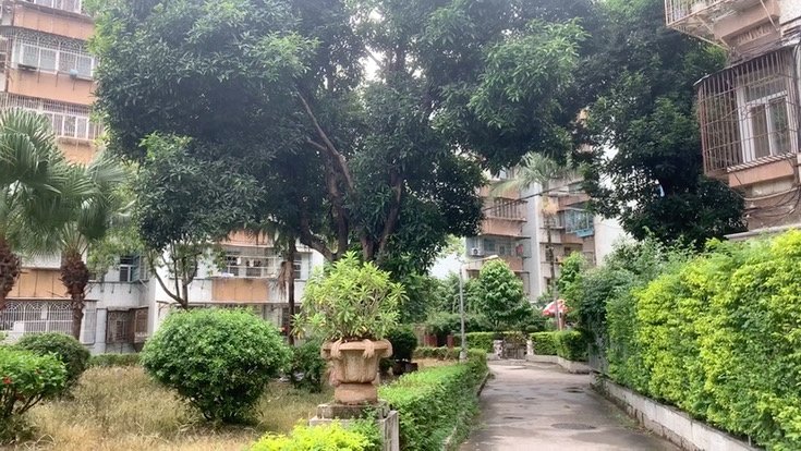 紫云庄,天山南路49号-汕头紫云庄二手房,租房,房价-汕头安居客