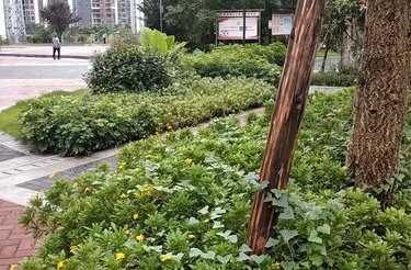 桃园新城中城苑