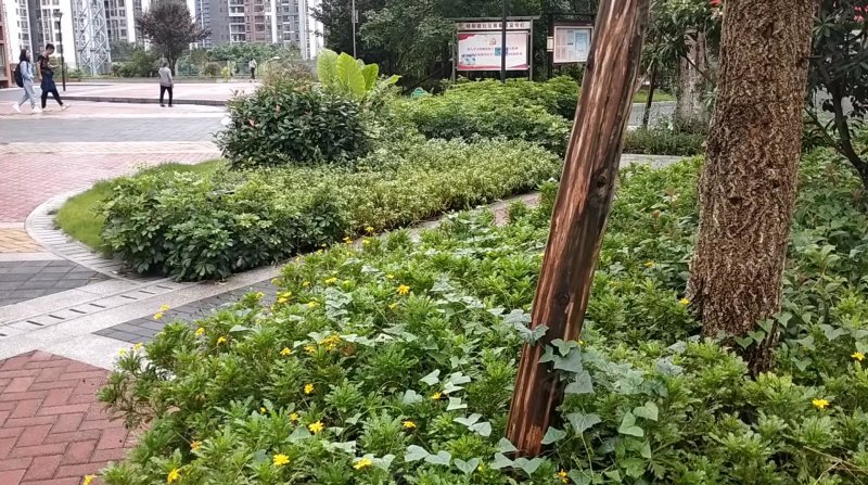 桃园新城中城苑 