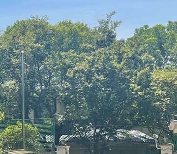 银涛高尔夫别墅