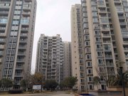 二重嘉苑 出行方便 楼龄新 满五   大两居 南向采光好