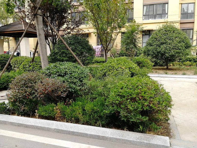 康桥公馆,通达南路,近湖北路-临沂康桥公馆二手房,租房,房价-临沂安居