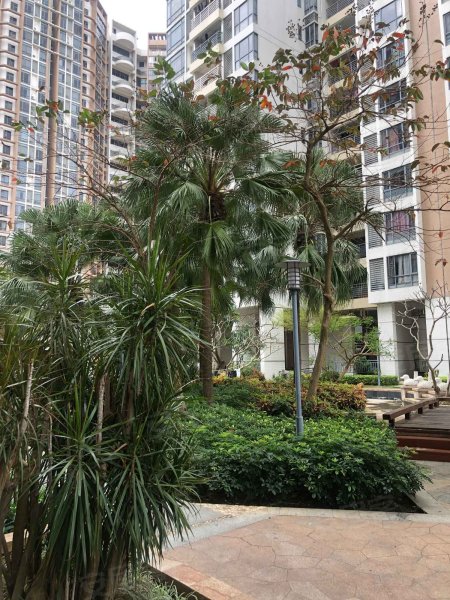 锦绣华景景界b区,明园路-湛江锦绣华景景界b区二手房,租房,房价-湛江