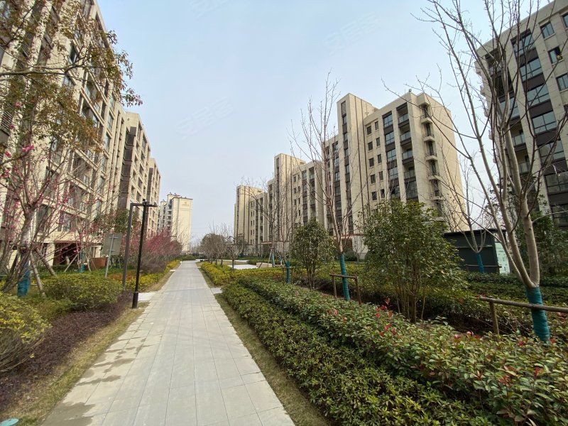 中海左岸澜庭,河滨路269号 - 南京中海左岸澜庭二手房,租房,房价-南京