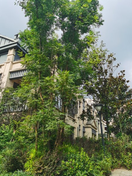 金阳第一农场大学城(别墅)