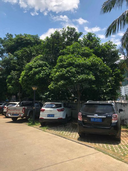 金环大厦,金鼎路-海口金环大厦二手房,租房,房价-海口安居客