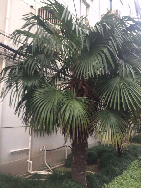 博一小区(465)弄 