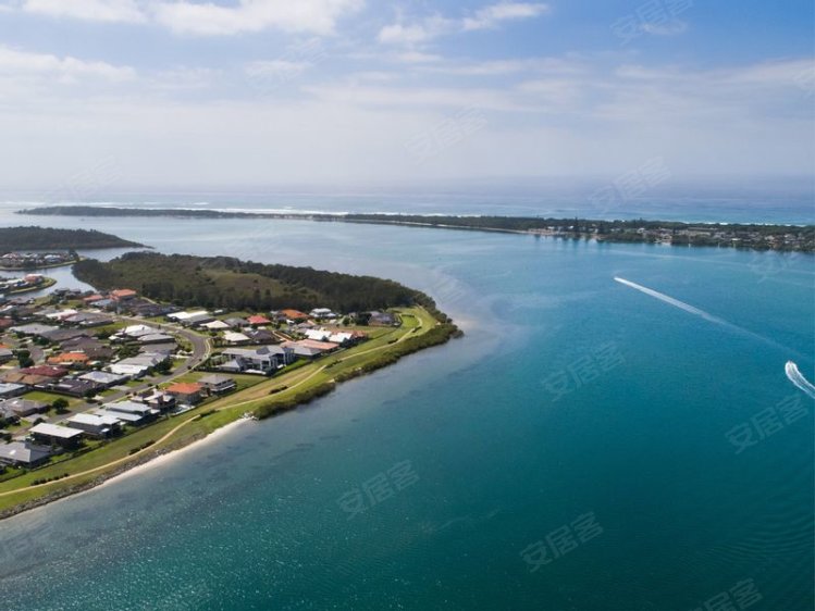 澳大利亚新南威尔士州班加罗售价待定高档海滨住宅 - Grevilliea户型新房独栋别墅图片