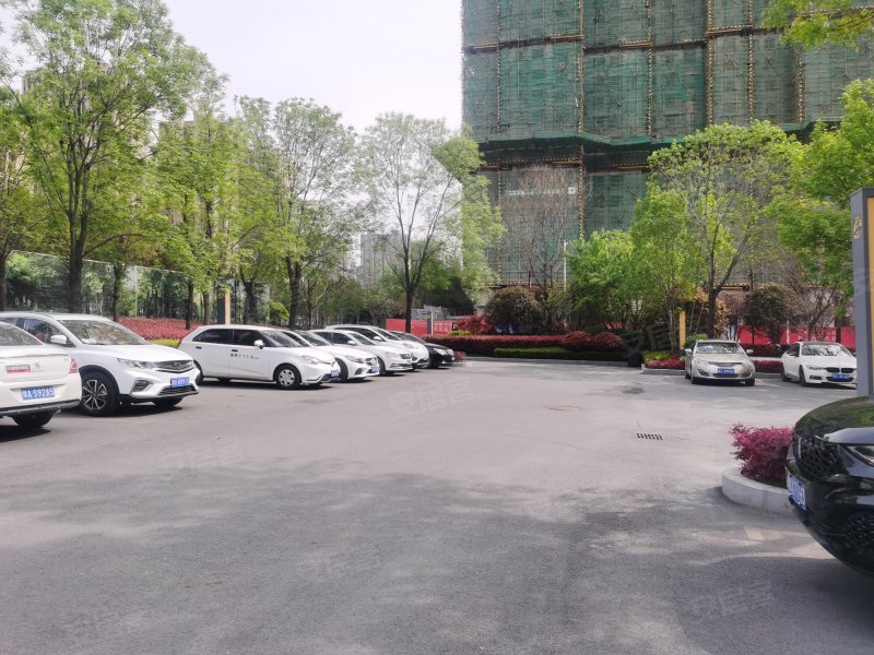 碧桂园天悦湾,电厂路,近五龙口南路-郑州碧桂园天悦湾二手房,租房