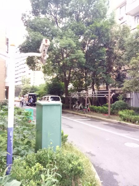 杜鹃路55弄小区 