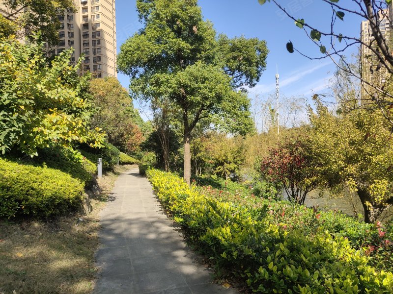 鹏欣领誉二期,育才路-泰州鹏欣领誉二期二手房,租房,房价-泰州安居客