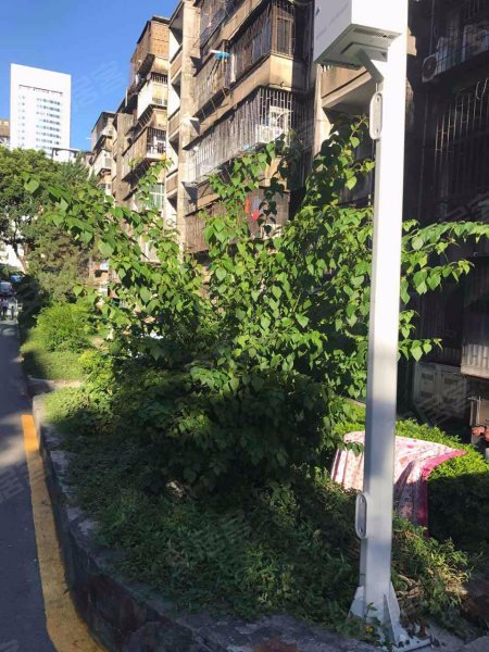 南园新村,南园路-深圳南园新村二手房,租房,房价-深圳安居客