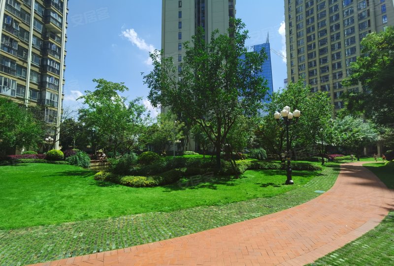 恒大中央公园(d区)