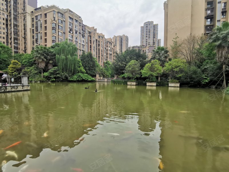 鹭湖国际,彭寿街525号-眉山鹭湖国际二手房,租房,房价-眉山安居客