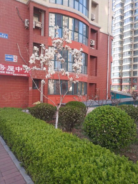 东方明珠城(f区)